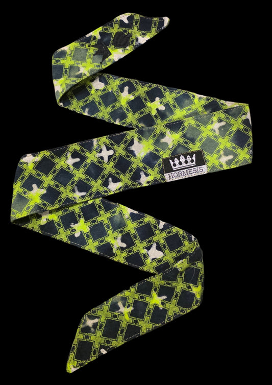 The David Dolgoff Hormesis Band (NEW)